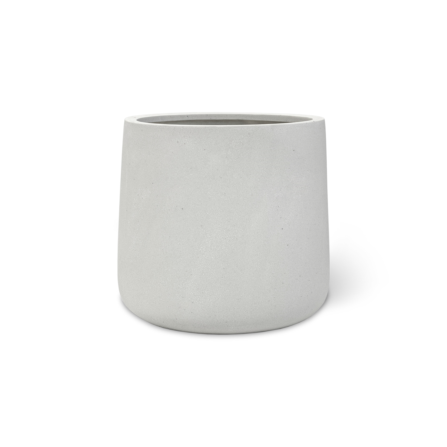 ZZ Raven in 10" Fiberstone Planter
