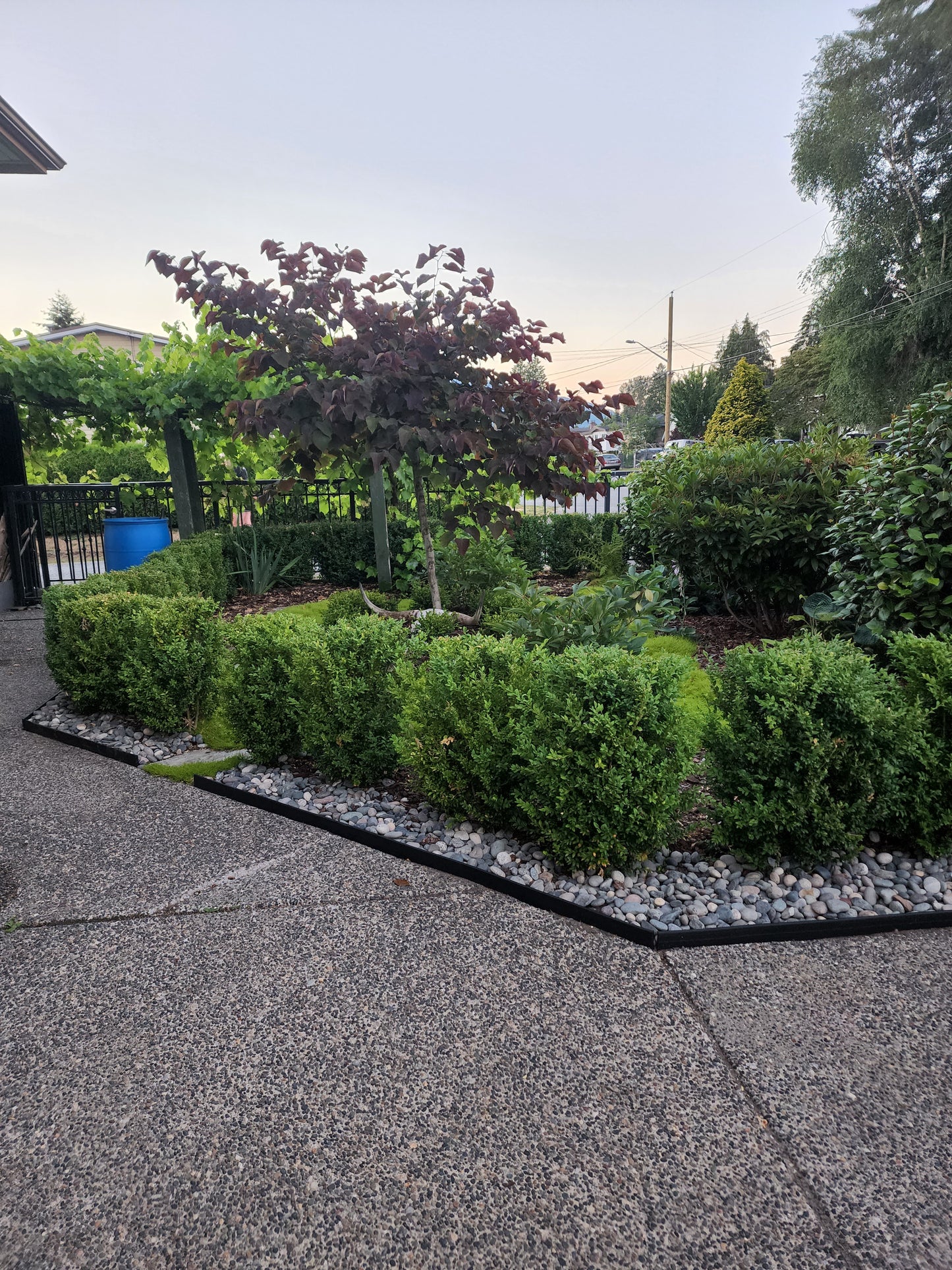 Landscaping Services