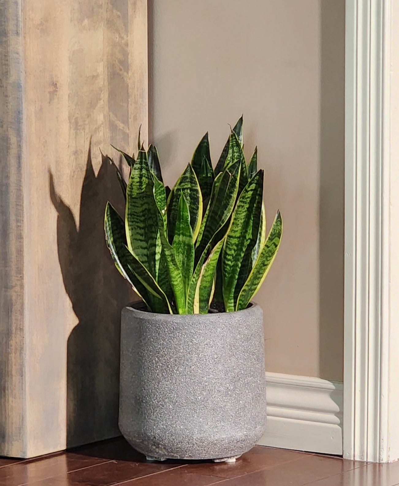 10" Grey Stone Fiberstone Planter