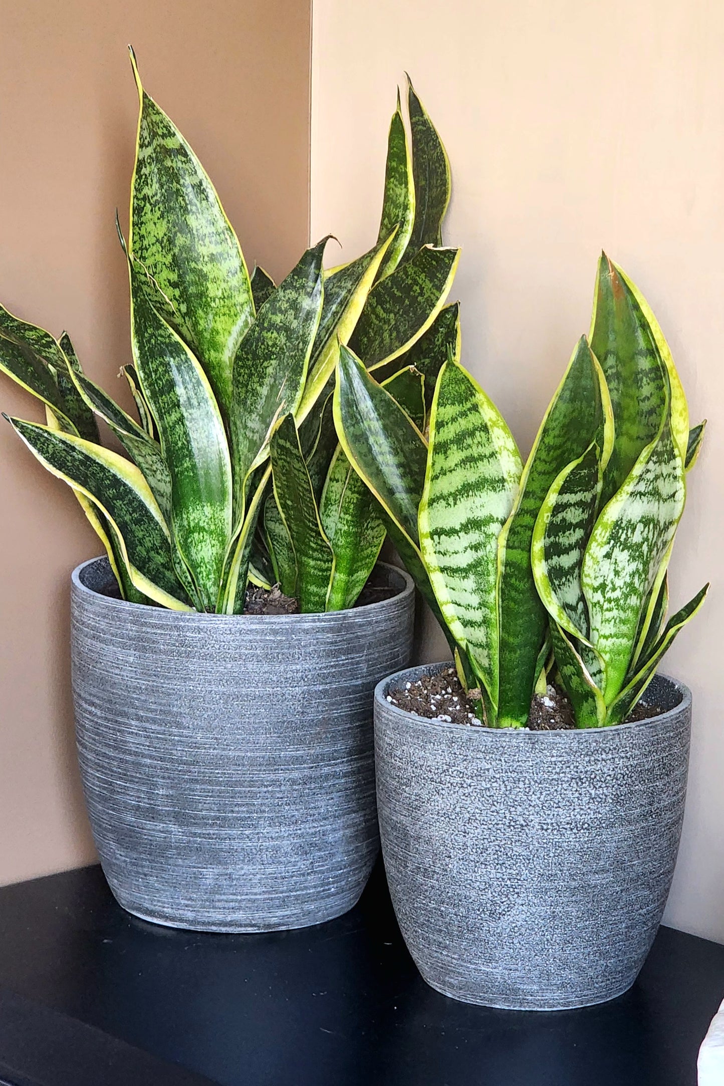 Set of 8 Grey Fiberstone Planters