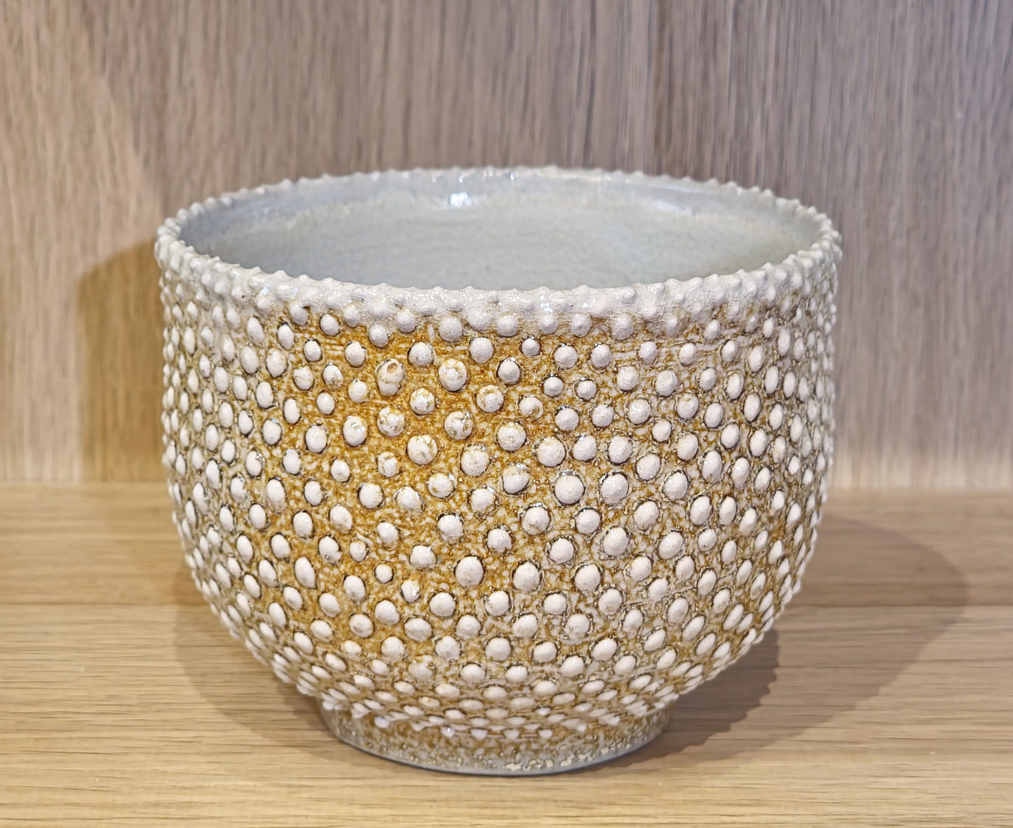 Dotted Grey Bowl Soda Fired