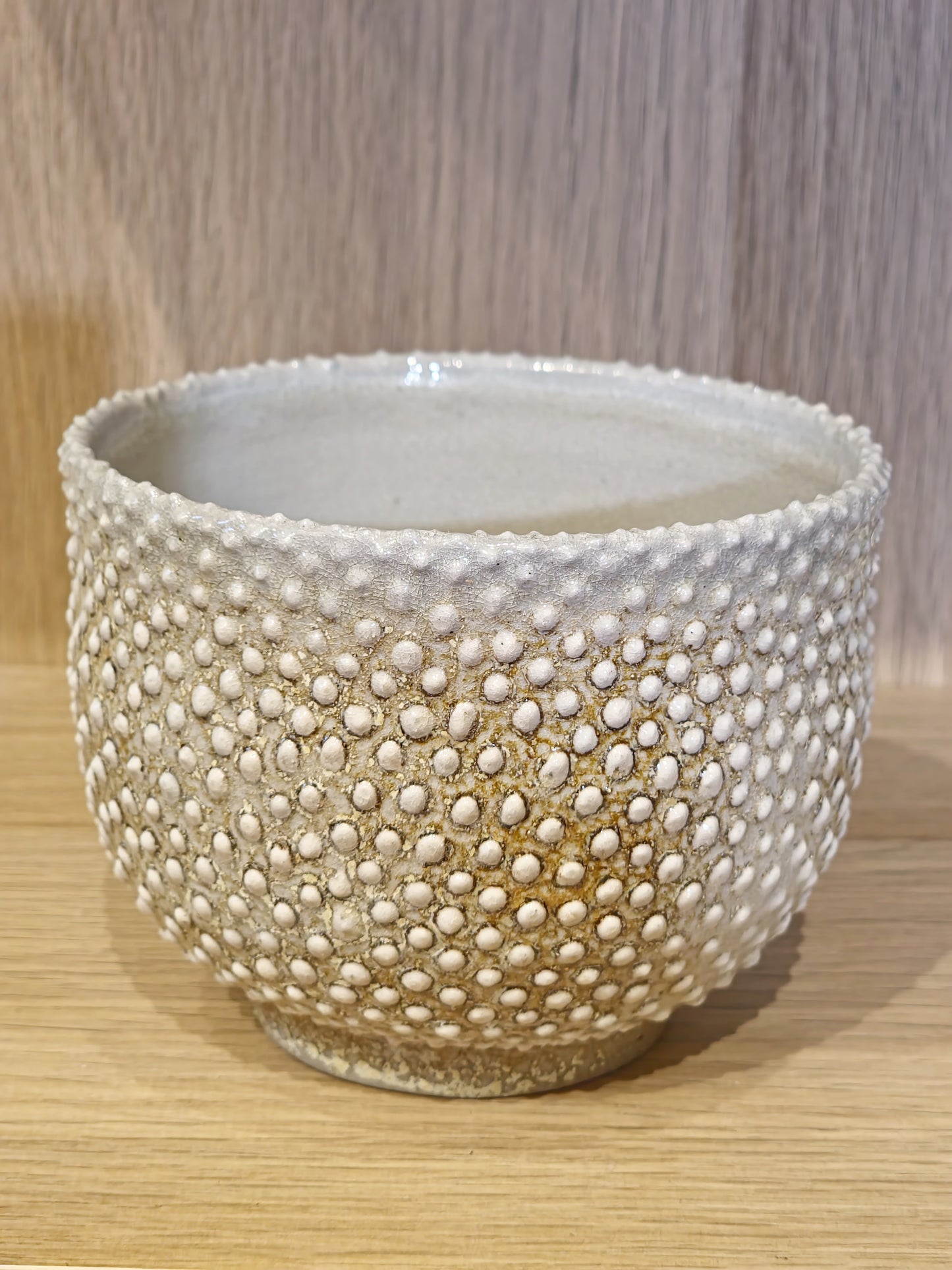 Dotted Grey Bowl Soda Fired